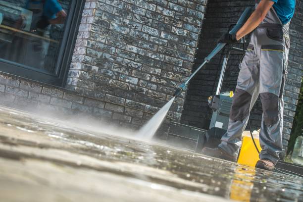 Best Vinyl Siding Pressure Washing in Hainesvle, IL