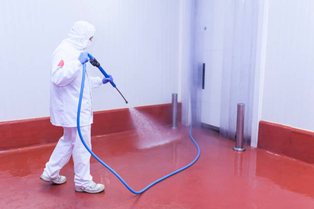 Best Deck and Patio Pressure Washing in Hainesvle, IL