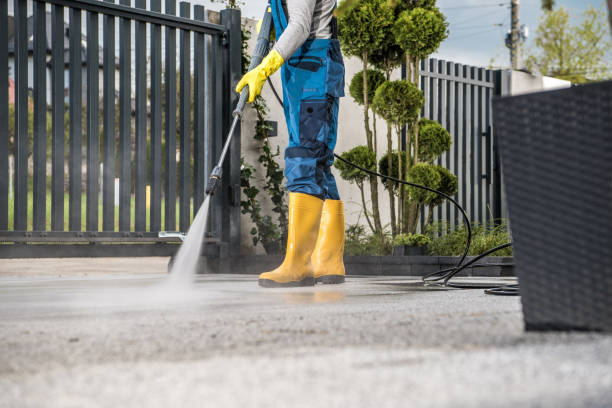 Best Window and Screen Pressure Cleaning in Hainesvle, IL